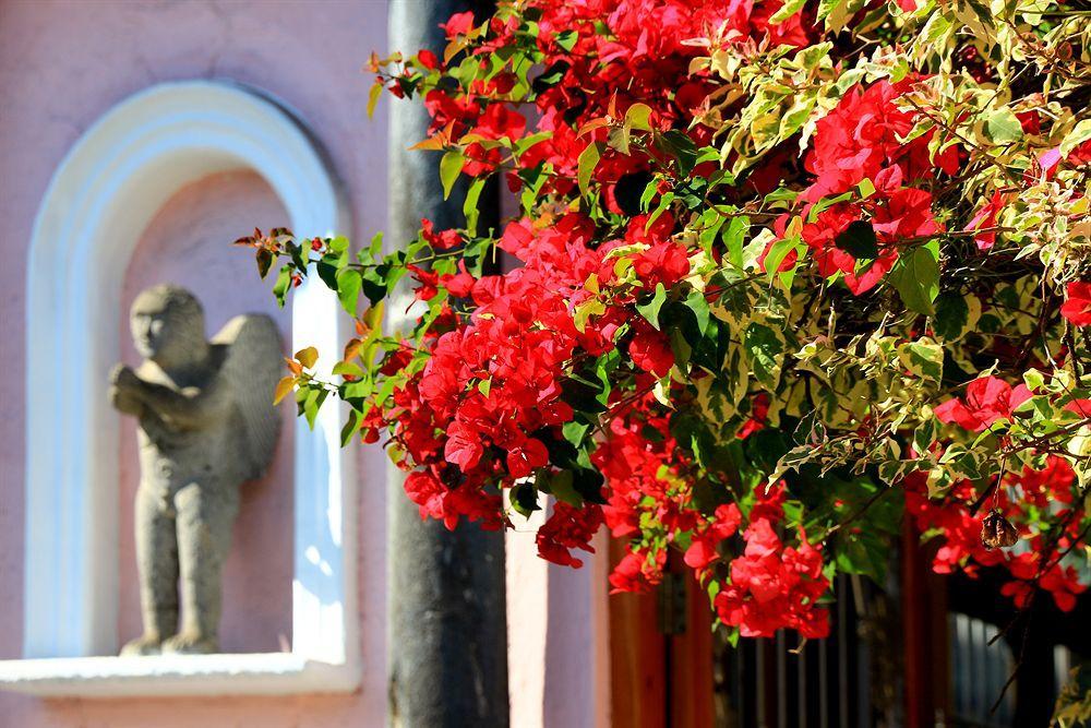 Hotel El Pueblito De Fortin Fortín de las Flores Exterior foto